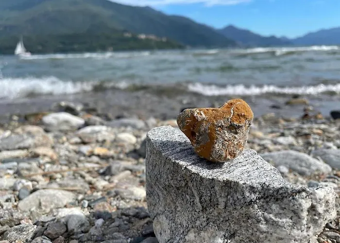 Casa Azalea アパート *